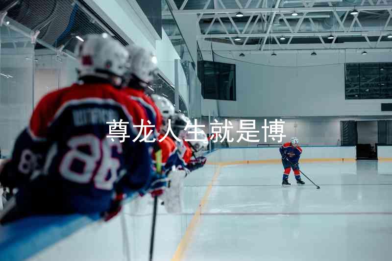 尊龙人生就是博