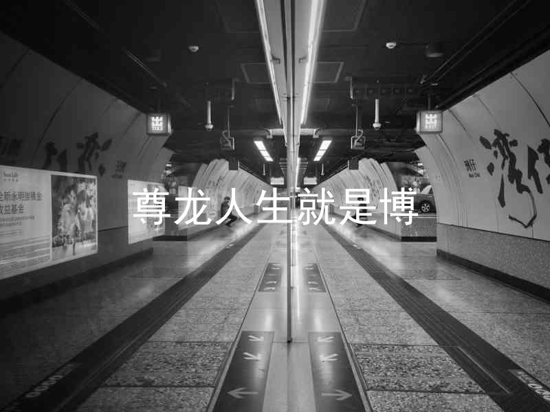 尊龙人生就是博